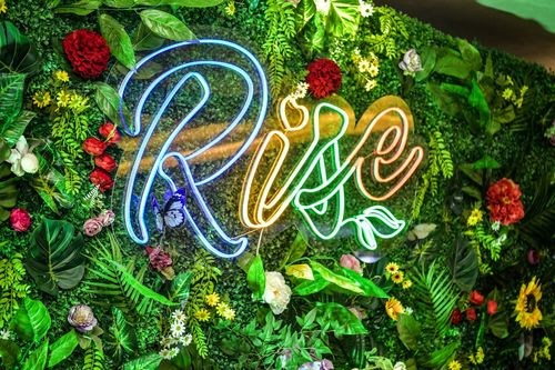 Шинэ оюутны хөгжлийн хөтөлбөр “Rise” нээлтээ хийлээ